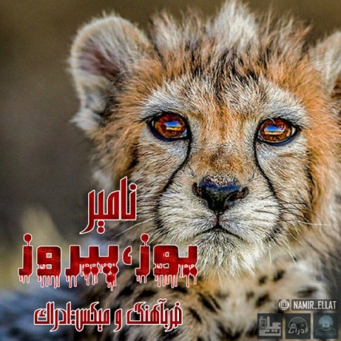 دانلود آهنگ نامیر یوز و پیروز